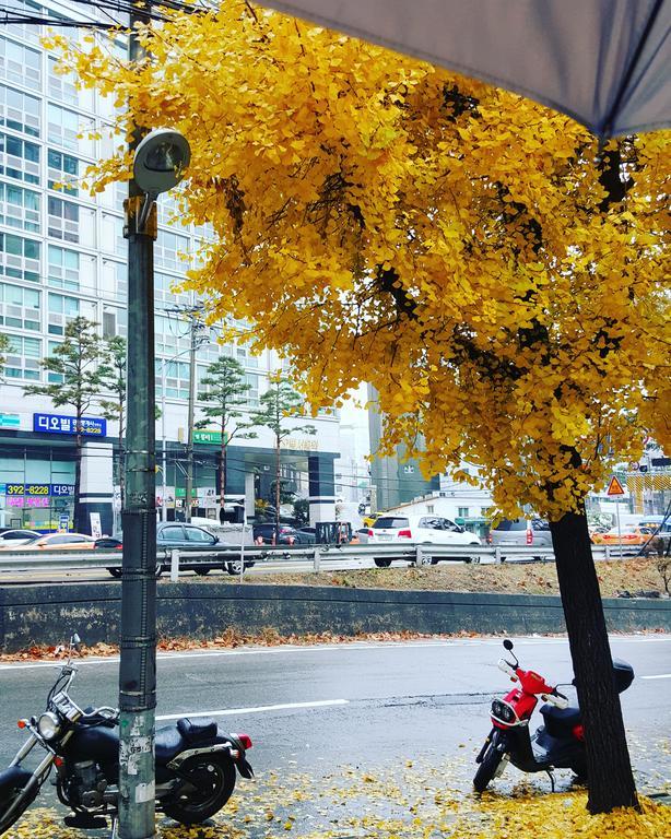 Feliz Guesthouse, Seoul Station Esterno foto